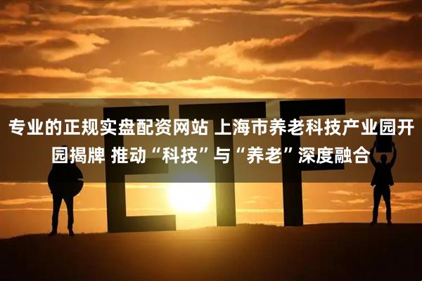 专业的正规实盘配资网站 上海市养老科技产业园开园揭牌 推动“科技”与“养老”深度融合