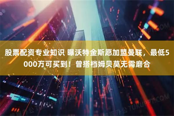 股票配资专业知识 曝沃特金斯愿加盟曼联，最低5000万可买到！曾搭档姆贝莫无需磨合